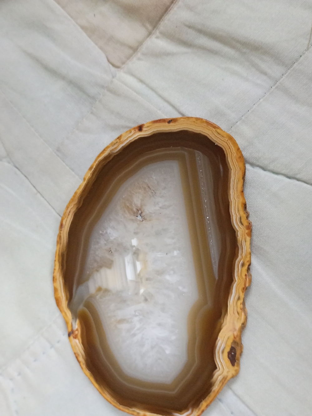 Natural Agate Geode Slice Brown and White